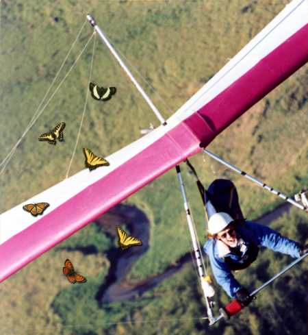 Bob hang gliding