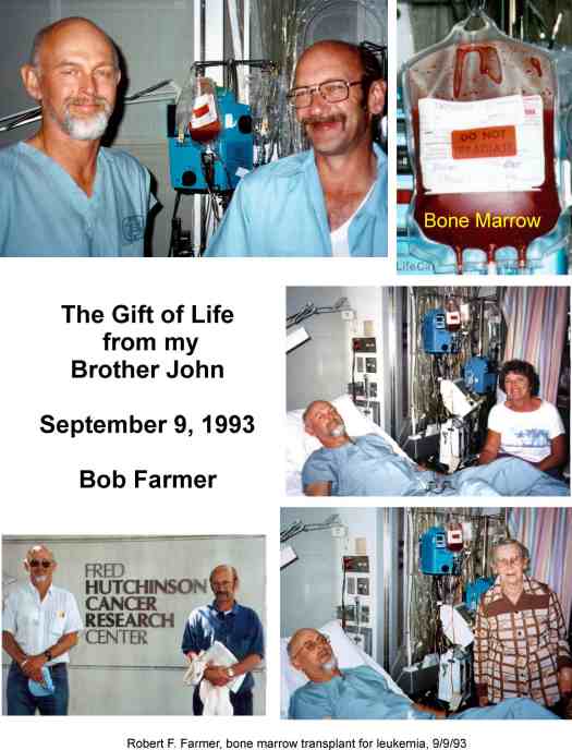 gift.jpg (38420 bytes)
